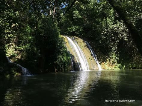 gorg de la plana|Visiting the Gorg de la Plana Waterfalls (Brugent Nature Reserve)